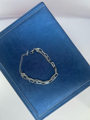 Asmentum 316L Paslanmaz Çelik Çift Zincir Bileklik