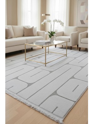 Zeta Halı Kuzey Yumuşak Dokulu Modern Halı