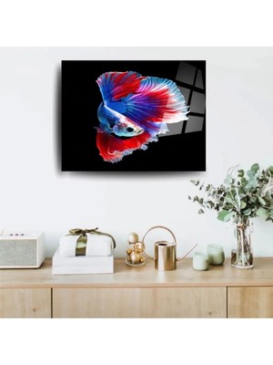 Glitglass Betta Savaşçı Balığı Dekoratif Temperli Cam Tabl