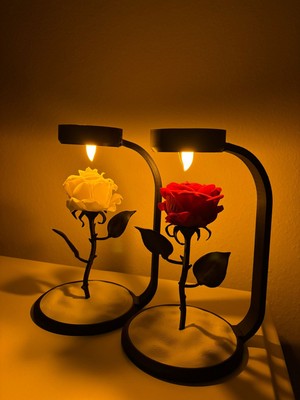 Solmayan Gül Lambası