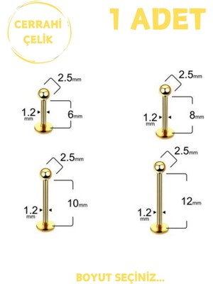 Blisse Piercing Unisex Cerrahi Çelik 2.5mm Toplu Labret Tragus Helix Piercing