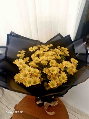 Sabrina Organizasyon Papatya Sarı Çiçek