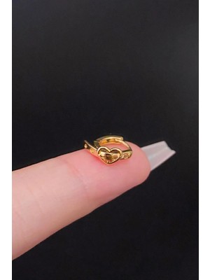 Blisse Piercing Kadın Kalp Kemer Figür Tragus Helix Kıkırdak Çelik Halka Piercing