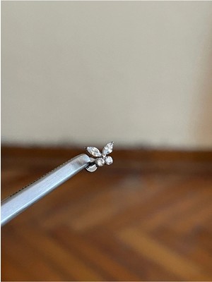 Rupen Kraft %100 G23 Titanyum Zirkon Baget Taşlı Pırlanta Model Kelebek Detay Kıkırdak Conch Tragus Piercing