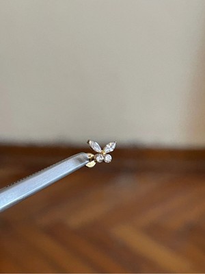 Rupen Kraft %100 G23 Titanyum Zirkon Baget Taşlı Pırlanta Model Kelebek Detay Kıkırdak Conch Tragus Piercing