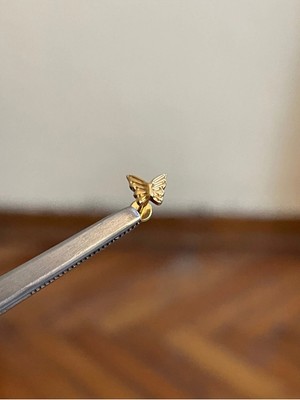 Rupen Kraft %100 G23 Titanyum Kelebek Altın Titanyum 8x1.2mm Tragus Kıkırdak Labret Piercing