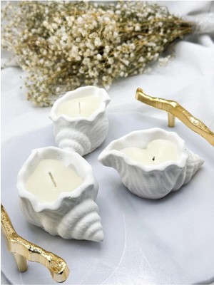 Bernami Düğün Pinterest 5 Adet Kokulu Deniz Kabuğu Istiridye Mum