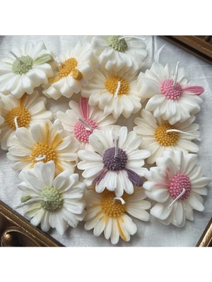 Bernami Düğün Pinterest Karışık 6’lı Papatya Seti