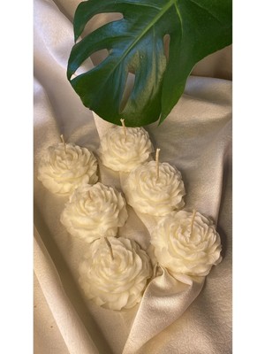 Bernami Düğün Pinterest 6'lı Gül Vegan Mum