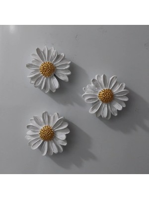 Bernami Dekoratif Pinterest Papatya Set Magnet 6 Lı Buzdolabı Süsü Hediyelik Eşya Dekoratif Aksesuar