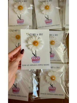 Bernami Mevlüt Pinterest 20 Adet Söz, Nişan, Düğün, Kına, Mevlüt Kartlı Papatya Mum Hediyelik, Papatya Mum, Kokulu Mum