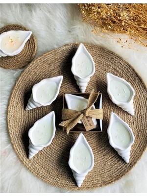 Bernami Biblo Pinterest 20 Adet Deniz Kabuğu Hediyelik Mum Söz Nişan Biblo Bebek Doğum Günü Hediye Ligi