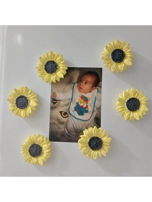 Bernami Kdekoratif Pinterest Buzdolabı Magnet Ayçiçeği Hediyelik Dekoratif Aksesuarlar - 6 Adet