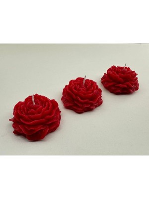 Bernami Kdekoratif Pinterest Suda Yüzen 3'lü Şakayık Mum Kırmızı Söz,nişan,düğün,hediye