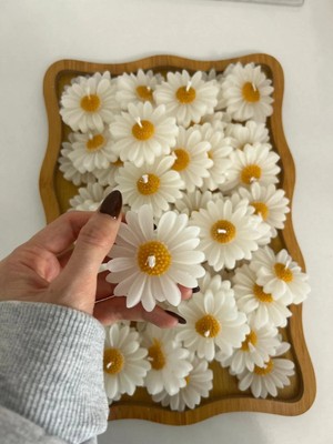 Bernami Dekoratif Pinterest 10 Adet Papatya , Dekoratif Şekeri, Doğum, Sünnet, Dekoratif Nişan Söz, Kına, Doğum Günü.