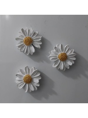 Bernami Kdekoratif Pinterest Papatya Set Magnet Buzdolabı Süsü Hediyelik Eşya Dekoratif Aksesuar - 3 Adet