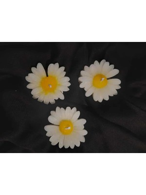 Bernami Düğün Pinterest Mum Papatya Mum