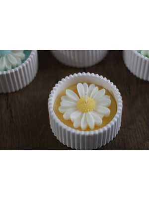 Bernami Biblo Pinterest Biblo Mum Kapta Papatya Mum Kokulu Mum