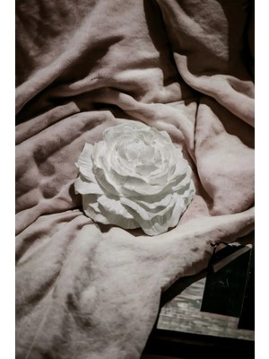 Bernami Biblo Pinterest Biblo Şakayık Çiçeği Biblo/obje