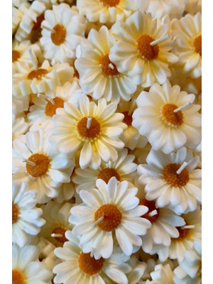 Bernami Düğün Pinterest 10 Adet Suda Yüzen ve Tealight Olarak Kullanılabilen Papatya Mum | Dekoratif Hediyelik