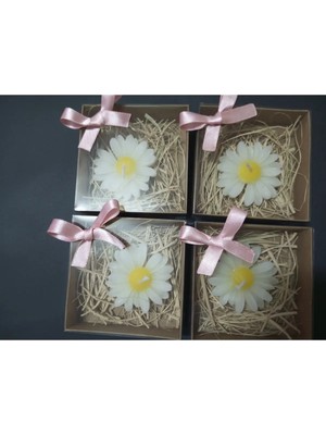 Bernami Kdekoratif Pinterest 20 Adet Süslemeli Kutulu Papatya Mum, Kdekoratif Şekeri, Doğum, Bebek Mevlüdi, Baby Shower