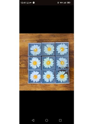 Bernami Mevlüt Pinterest Mum, Mevlüt Süsü, Doğum Sünnet Mevlüt Nişan Söz Mevlüt Baby Shower Vs Hediyelik 10'lu Papatya Mum