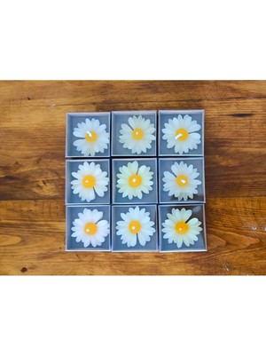 Bernami Kdekoratif Pinterest Kraft Kutulu Papatya Mum 20 Adet