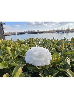 Bernami Kdekoratif Pinterest Dekoratif Hediyelik Gül Mum - Kdekoratif - Kdekoratif Şekeri - Doğum - Sünnet - Nişan Söz - Kına