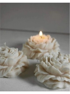 Bernami Kdekoratif Pinterest Şakayık Mum Kokulu 3'lü Set Söz Nişan Kdekoratif Nikah Davet