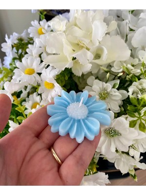 Bernami Biblo Pinterest Bebek Hediyelik Mavi Papatya Mum 10 Adet