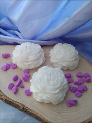 Bernami Biblo Pinterest Şakayık Mum 3 Adet