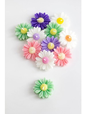 Bernami Biblo Pinterest 10’lu Renkli Papatya Mum