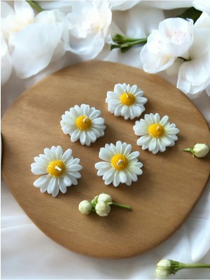 Bernami Mevlüt Pinterest 20 Adet Kutusuz Papatya Mum, Mevlüt Şekeri, Doğum, Sünnet, Mevlüt Nişan Söz, Kına, Doğum Günü