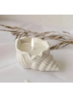 Bernami Kdekoratif Pinterest 1 Li Set Istiridye Midye Deniz Kabugu Mumsuz Beton Ham 1 Adet Boyasız