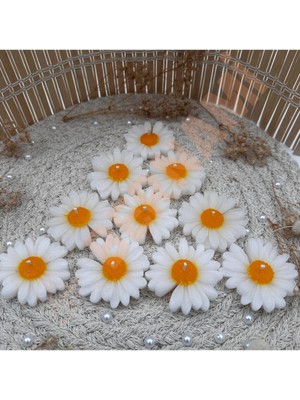 Bernami Biblo Pinterest Papatya Mum Sarı Nişan, Nikah, Doğum Günü, Özel Gün - 10 Adet