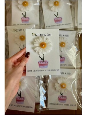 Bernami Biblo Pinterest 12 Adet Söz, Nişan, Düğün, Kına, Biblo Kartlı Papatya Hediyelik, Papatya