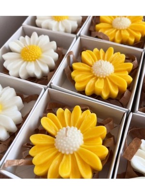 Bernami Kdekoratif Pinterest Papatya Mum 1 Adet