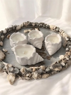 Bernami Kdekoratif Pinterest Deniz Kabuğu Tabanlı Mum - 1 Adet