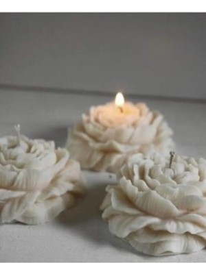 Bernami Kdekoratif Pinterest Şakayık Model Lavanta Kokulu Mum 3 Adet