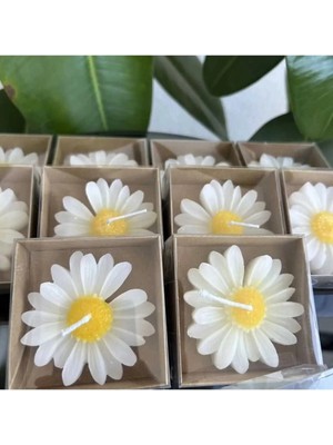 Bernami Mevlüt Pinterest 30ADET Papatya Mum Hediyelik Nişan, Nikah, Söz, Doğumgünü, Doğum