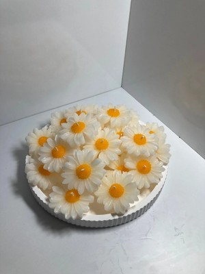 Bernami Dekoratif Pinterest Papatya 15 Adet Dekoratif Nişan Dekoratif Sünnet Organizasyon Hediyelikleri