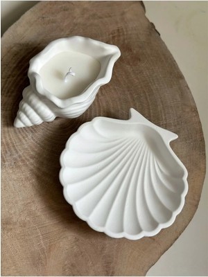 Bernami Dekoratif Pinterest Deniz Kabuğu ve Istiridye Set Beyaz Dekoratif Tabak/takı Organizeri Mumluk