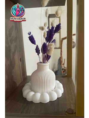 Bernami Dekoratif Pinterest Bubble Tabak ve Pampas Vazo Dekoratif Set