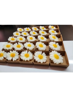 Bernami Şamdan Pinterest 50 Adet Kraft Kutulu Papatya Mum Nişan, Söz, Düğün, Doğum Günü, Kına