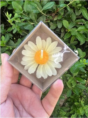 Bernami Düğün Pinterest 15 Adet Kraft Kutulu Papatya Mum Hediyelik, Nişan, Düğün, Sünnet, Söz, Kına, Doğum Günü