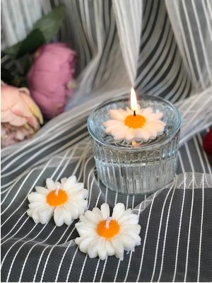 Bernami Şamdan Pinterest Papatya Suda Yüzen 3’lü Set Mum Papatyalı Mum