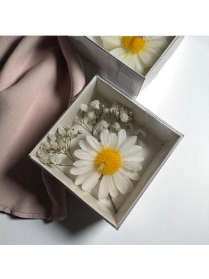 Bernami Dekoratif Pinterest Papatya Mum Kraft Kutu Şeffaf Kapak - 1 Adet