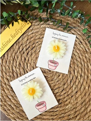 Bernami Şamdan Pinterest 10 Adet Kartlı Papatya Mum 8 Mart Dünya Kadınlar Günü