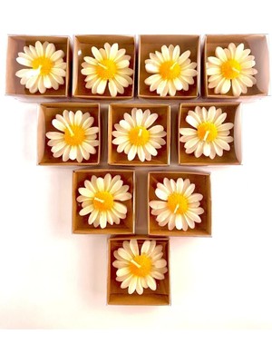 Bernami Mevlüt Pinterest 20 Adet Kraft Kutulu Papatya Mum, Söz, Nişan, Düğün, Kına, Doğum Günü, Özel Günler, Hediye