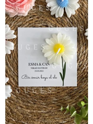 Bernami Dekoratif Pinterest 10 Adet Özel Tasarlanmış Kart ve Papatya Mum. Bebek Doğum, Babyshower, Doğum Günü, Hediyelik